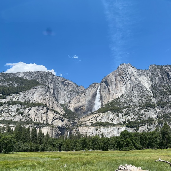 Meet your Posher, Melissa - Picture 1 of 1